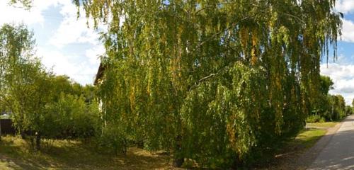 Панорама дома обл. Нижегородская, г. Нижний Новгород, ул. Академика Павлова, д. 41