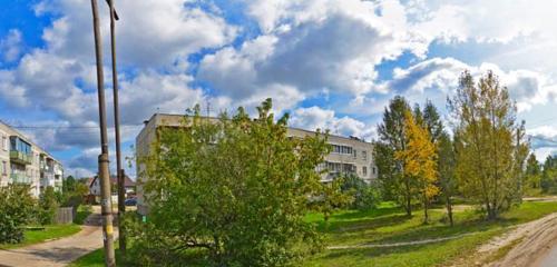 Панорама дома обл. Нижегородская, г. Бор, рп. Октябрьский, ул. Луговая, д. 3