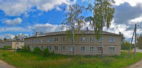 Панорама дома обл. Нижегородская, г. Бор, д. Овечкино (Редькинский с/с), д. 1