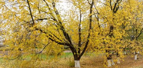 Панорама дома обл. Нижегородская, г. Бор, ул. Крупской, д. 4