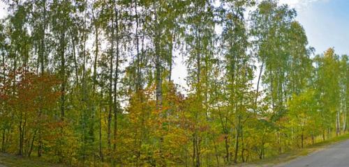 Панорама дома обл. Нижегородская, р-н. Володарский, г. Володарск, ул. Центральная, д. 10