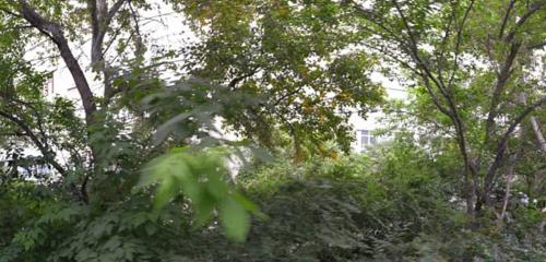 Панорама дома обл. Свердловская, г. Екатеринбург, ул. Викулова, д. 38