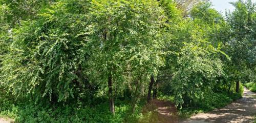 Панорама дома край. Хабаровский, г. Хабаровск, ул. Менделеева, д. 13В