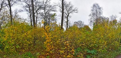 Панорама дома обл. Тверская, г. Ржев, ул. Рабочая, д. 1