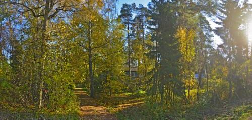 Панорама дома обл. Ленинградская, р-н. Гатчинский, пгт. Вырица, ул. Боровая, д. 22