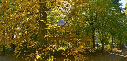 Панорама дома обл. Калининградская, р-н. Зеленоградский, г. Зеленоградск, ул. Ткаченко, д. 7