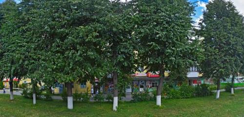 Панорама дома обл. Тульская, р-н. Новомосковский, г. Новомосковск, ул. Садовского, д. 21