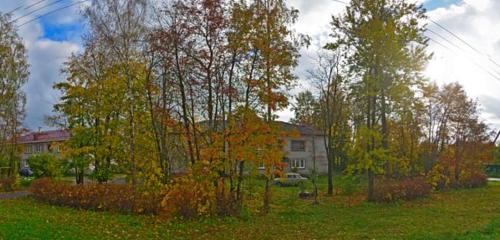 Панорама дома обл. Ленинградская, р-н. Волосовский, п. Кикерино, ул. Ломакина, д. 19