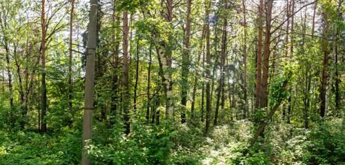 Панорама дома Респ. Удмуртская, р-н. Завьяловский, с. Октябрьский, д. 9