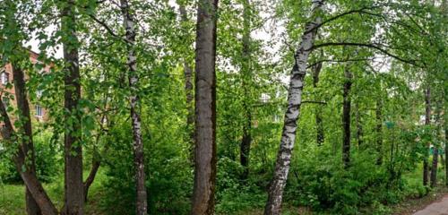 Панорама дома Респ. Удмуртская, г. Сарапул, ул. Жуковского, д. 21