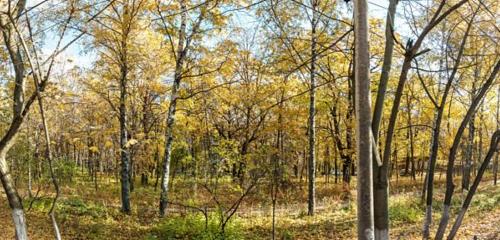 Панорама дома обл. Воронежская, г. Воронеж, ул. Тимирязева, д. 6 А