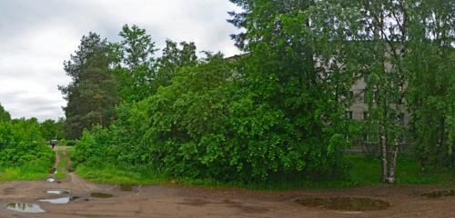 Панорама дома обл. Новгородская, р-н. Боровичский, г. Боровичи, ул. Сушанская, д. 8