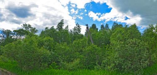 Панорама дома обл. Новгородская, р-н. Боровичский, г. Боровичи, ул. Реппо, д. 4