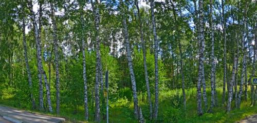 Панорама дома обл. Ленинградская, р-н. Всеволожский, д. Бор, аллея. Березовая, д. 1 Б, к. 1