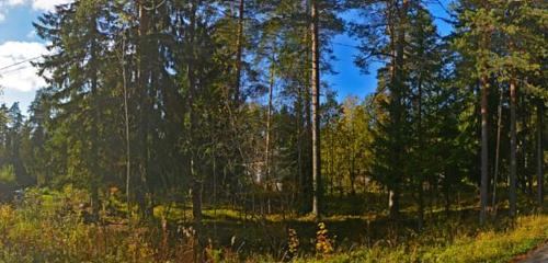 Панорама дома обл. Ленинградская, р-н. Гатчинский, пгт. Вырица, ул. Ульяновская, д. 19