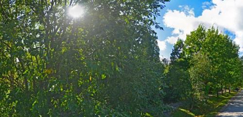 Панорама дома обл. Ленинградская, р-н. Тосненский, г. Никольское, ул. Зеленая, д. 31