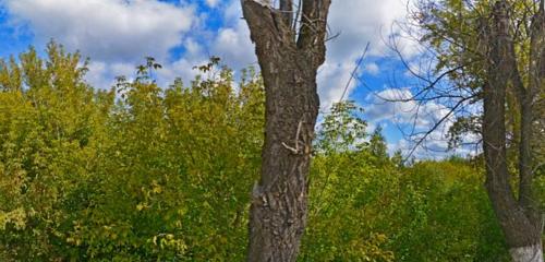 Панорама дома обл. Нижегородская, г. Бор, рп. Октябрьский, ул. Пролетарская, д. 7