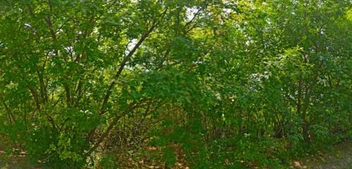 Панорама дома обл. Самарская, г. Сызрань, ул. Новое СПЗ, д. 7