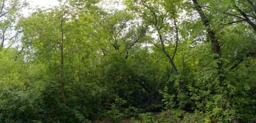 Панорама дома обл. Челябинская, г. Челябинск, ул. Уральская, д. 7А