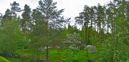 Панорама дома г. Санкт-Петербург, п. Солнечное, ул. Красивая, д. 31, лит. А